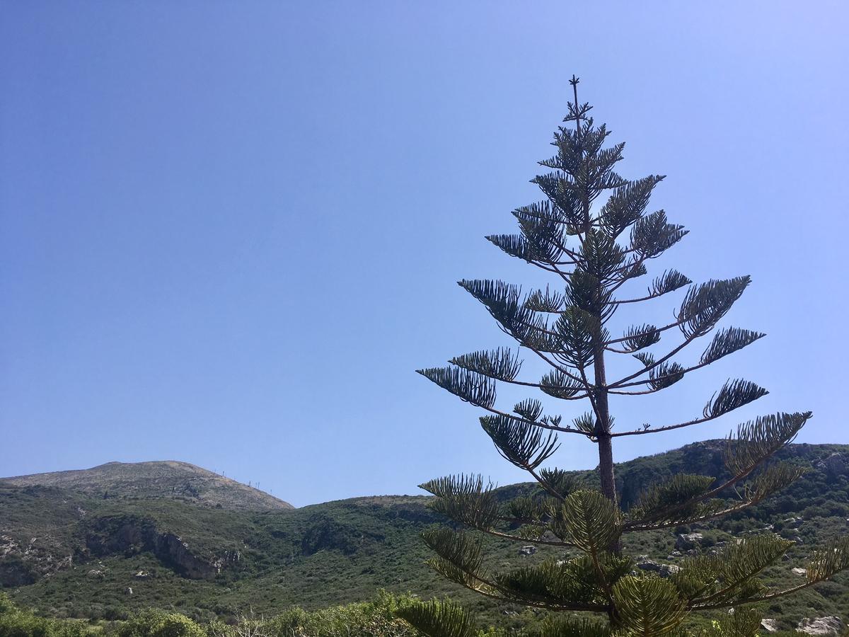Alegria Kefalonia カテリオス エクステリア 写真